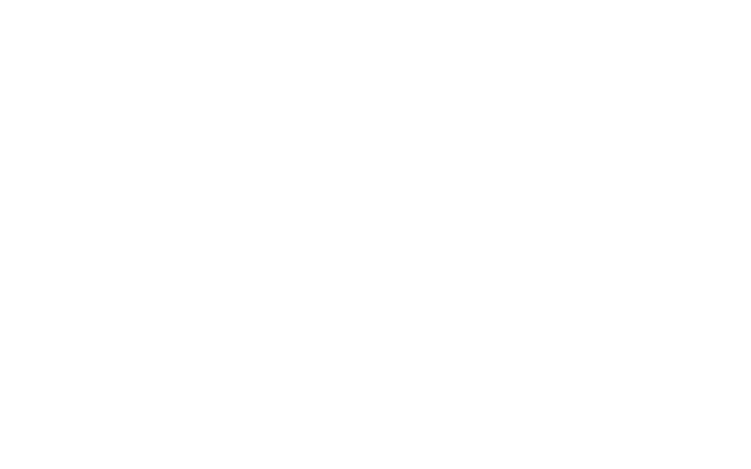 Logo des Netzwerk Preussen in Westfalen
